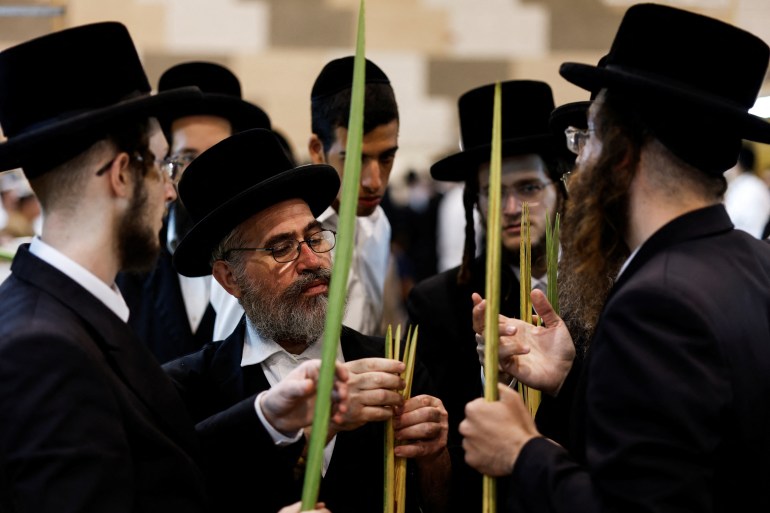 Ultra-Orthodox Jewish men check palm fronds for blemishes, before they are used in rituals during the upcoming Jewish holiday of Sukkot, in Ashdod, Israel September 27, 2023. REUTERS/Amir Cohen
