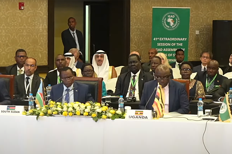 القمة الاستثنائية الحادية والأربعين لرؤساء دول وحكومات الهيئة الحكومية لتنمية دول شرق أفريقيا (إيغاد) بشأن السودان