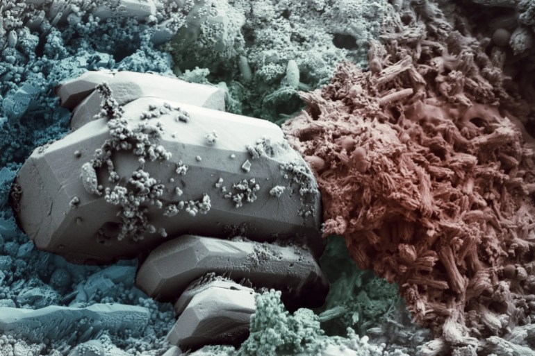 A colorized scanning electron microscope image of the BioFiber self-healing concrete at work credit : Drexel University