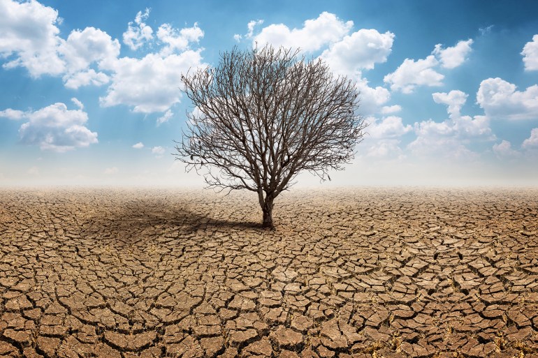 Dry cracked land with dead tree and sky in background a concept of global warming; Shutterstock ID 1058705195; purchase_order: aljazeera ; job: ; client: ; other: