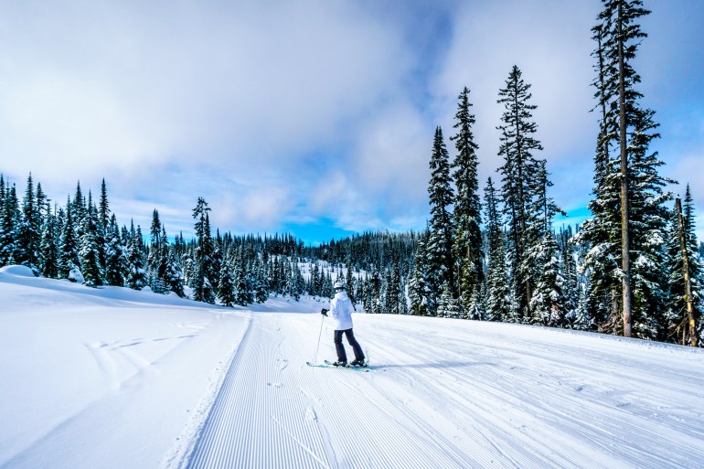 Woman Skiing in a Winter Landscape on the Ski Hills of Sun Peaks in the Shuswap Highlands of central British Columbia, Canada