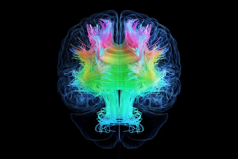 يرتبط ضجيج خلفية الدماغ بالنشاط العصبي الفطري، إذ يستمر الدماغ في عرض هذا النشاط التلقائي حتى عندما يكون الشخص في حالة راحة أو ليس مشغولا في أداء مهمة ذهنية محددة.