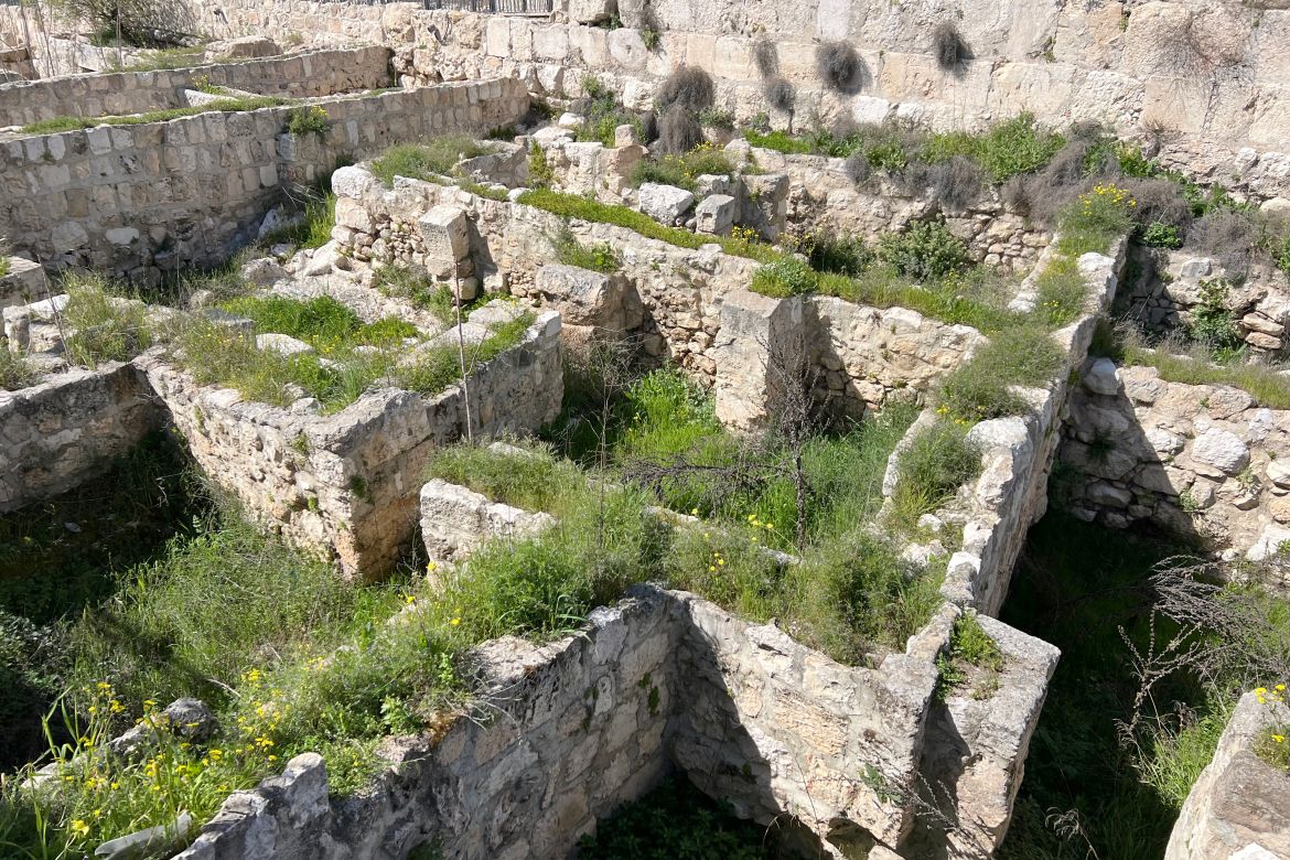 من معالم القدس    تعرف على مساجد البلدة القديمة بالقدس 2024-03-05-13-19-09-1709663589