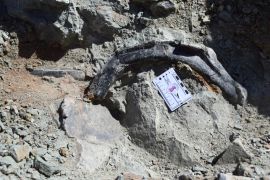 موقع اكتشاف الديناصور الذي أطلق عليه الباحثون &quot;ثيروصورس أطلسيكس&quot; نسبة إلى الأطلس المتوسط بالمغرب (الجزيرة)