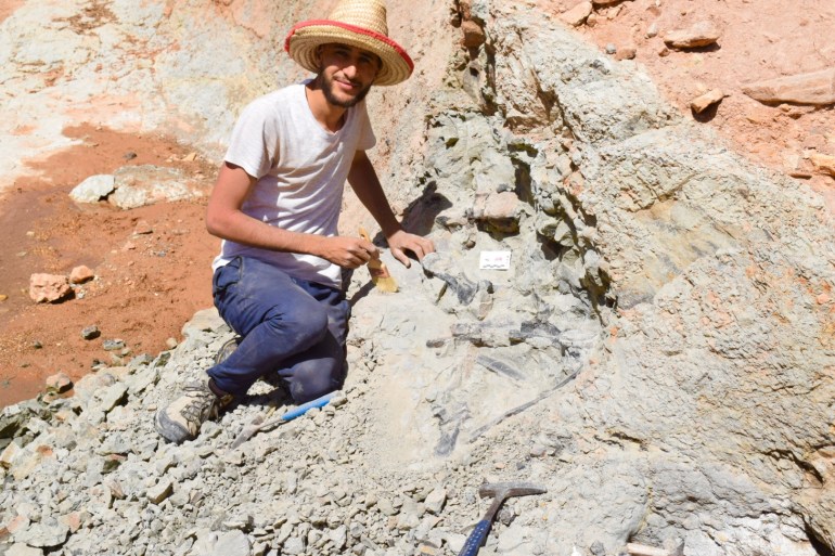 أطلق فريق البحث على الديناصور المكتشف " ثيروصورس أطلسيكس" (Thyreosaurus atlasicus) نسبة إلى الأطلس المتوسط بالمغرب (الجزيرة). 