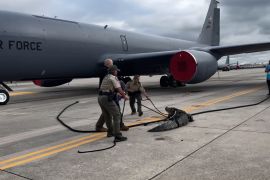 القوات الجوية الأميركية استعانت بلجنة فلوريدا للحفاظ على الأسماك والحياة البرية للتخلص من التمساح الذي ضل طريقه إلى القاعدة العسكرية (مواقع التواصل الاجتماعي)