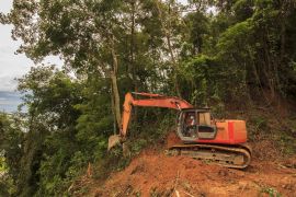 إزالة أشجار غابات بورنيو لأغراض الزراعة وصناعة زيت النخيل (شترستوك)
