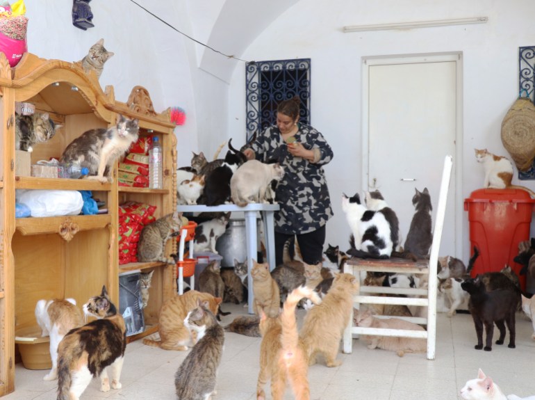 هدى بوشهدة (43 سنة)، التي تسكن مدينة الحمامات السياحية شرق تونس، تقوم بإعداد وتوزيع الطعام على القطط والكلاب. عشرات القطط والكلاب تلتف حولها في انتظار نصيبها من معكرونة بسمك السردين، فيما تنادي هدى عليها بأسمائها، مثل القط "سلطان" والكلب "كاتوشا"، فتلبي الحيوانات نداء مربيتها. ( Mohamed Mdalla - وكالة الأناضول )