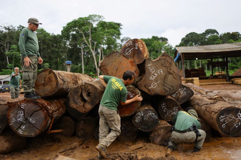 Agents of Environmental Protection at the Brazilian Institute for the Environment and Renewable Natural Resources (IBAMA), inspect logs from the Amazon rainforest at a sawmill during an operation to combat deforestation, in Porto Velho, Rondonia State, Brazil February 8, 2025. REUTERS/Ueslei Marcelino