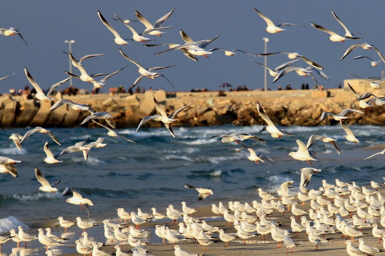 يعتبر البحر المتنفس الوحيد لمليوني فلسطءني في قطاع غزة الصغير والمحاصر-رائد موسى-الجزيرة نت