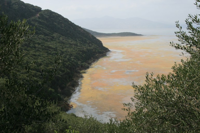 بحيرة بنزرت في تونس